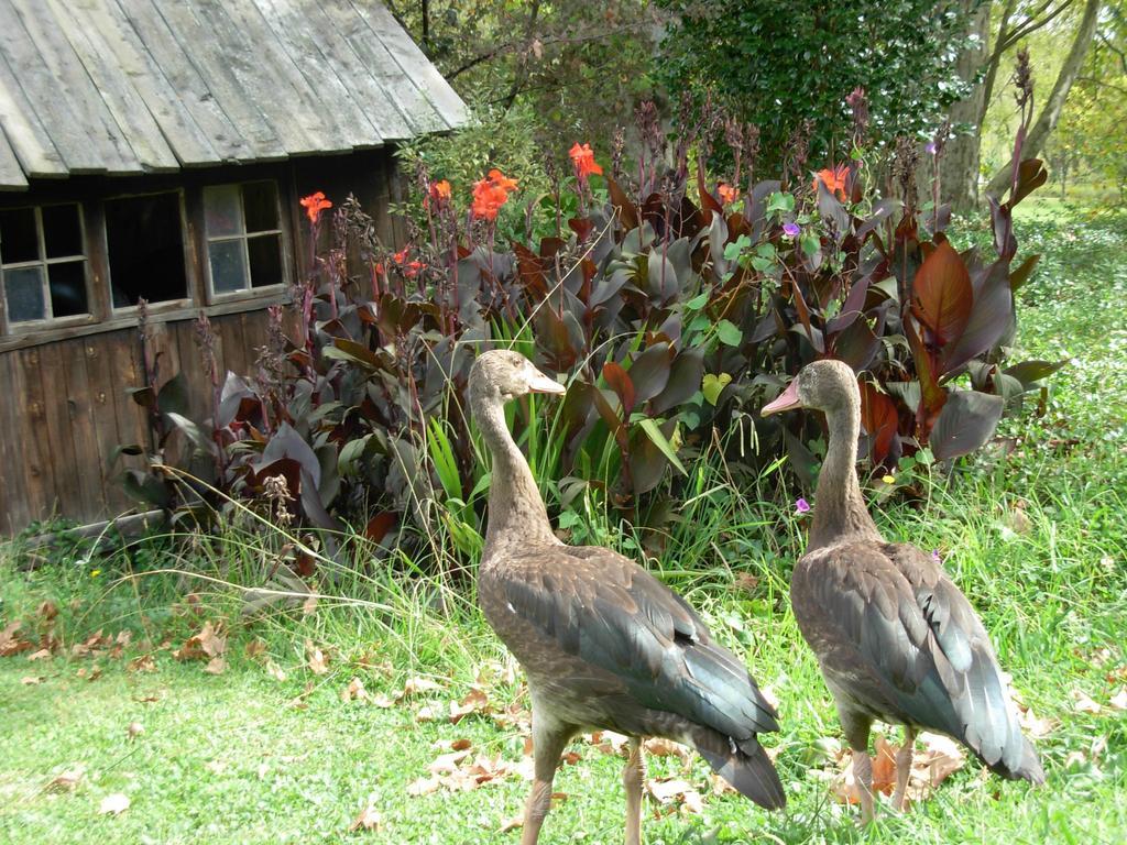 Umzimkulu River Lodge Underberg Exterior photo